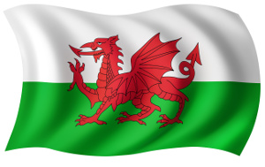 A dragon lost in Wales yesterday